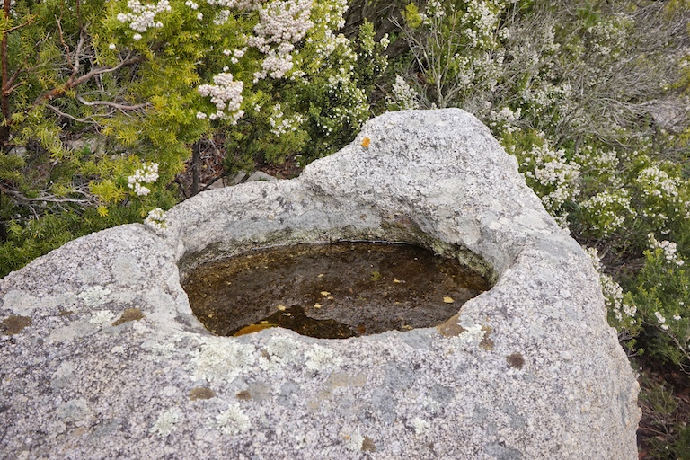 Le coppelle sono incisioni rupestri eseguite dall’uomo su roccia, a forma di coppa o scodella